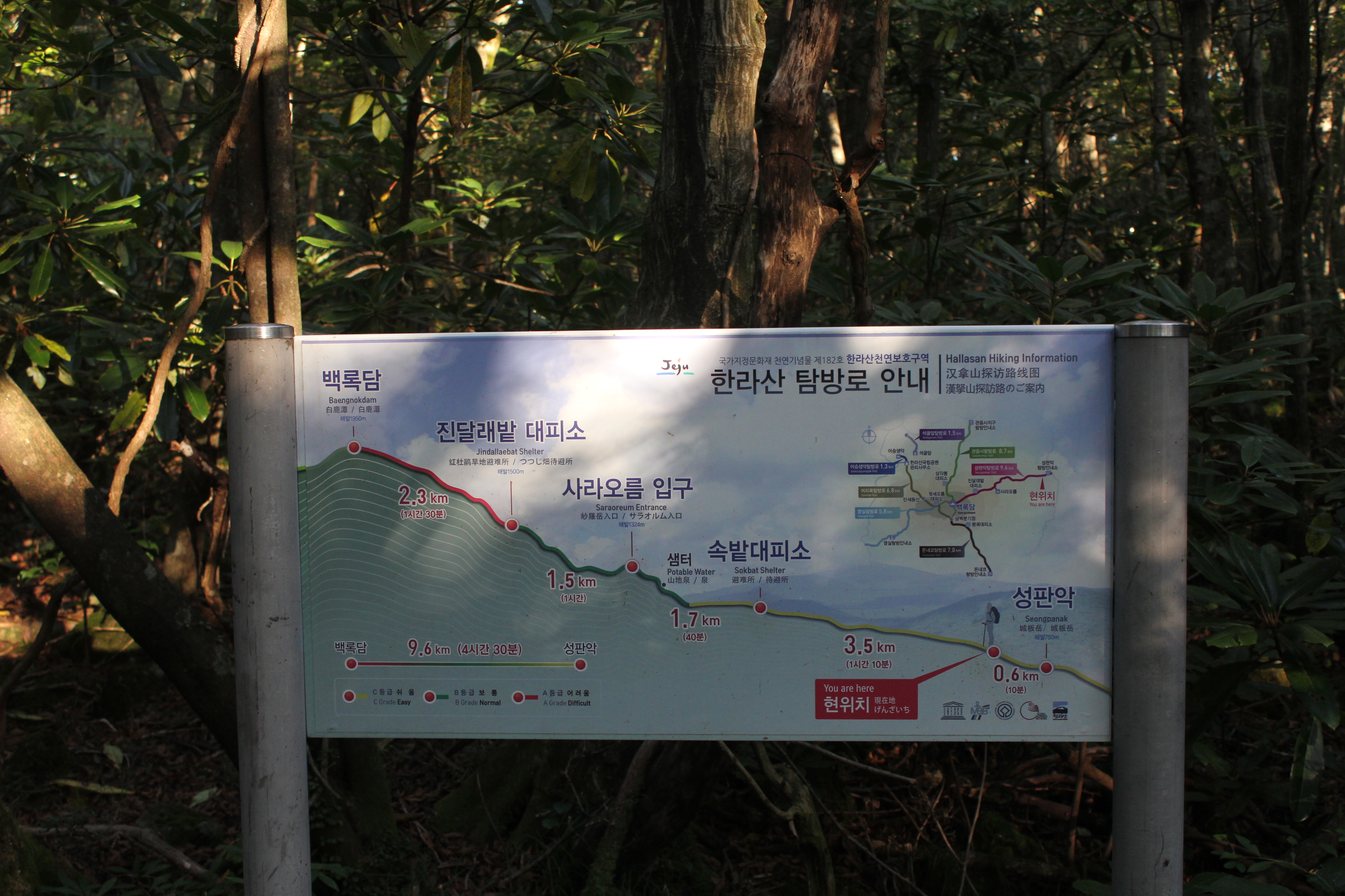 한라산 성판악 등산로 안내판이 숲 입구에 설치된 모습